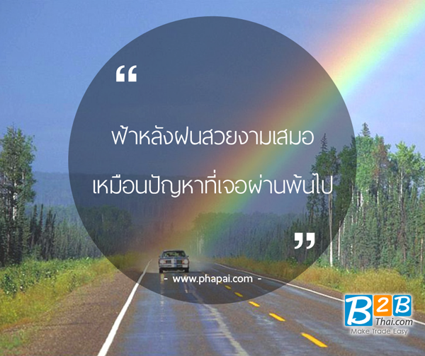My Image 10